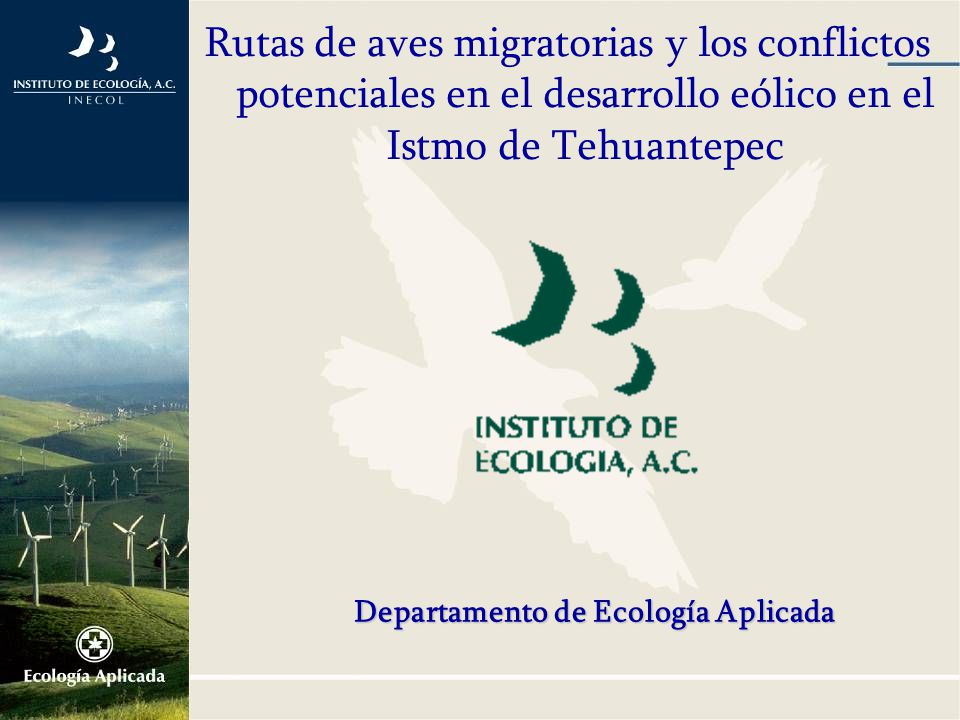Rutas de aves migratorias y los conflictos potenciales en el desarrollo eólico en el Istmo de Tehuantepec