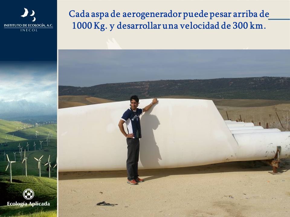 Cada aspa de aerogenerador puede pesar arriba de 1000 Kg