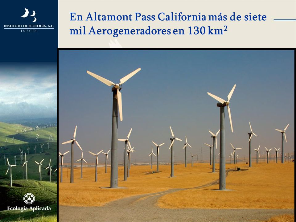 En Altamont Pass California más de siete mil Aerogeneradores en 130 km2