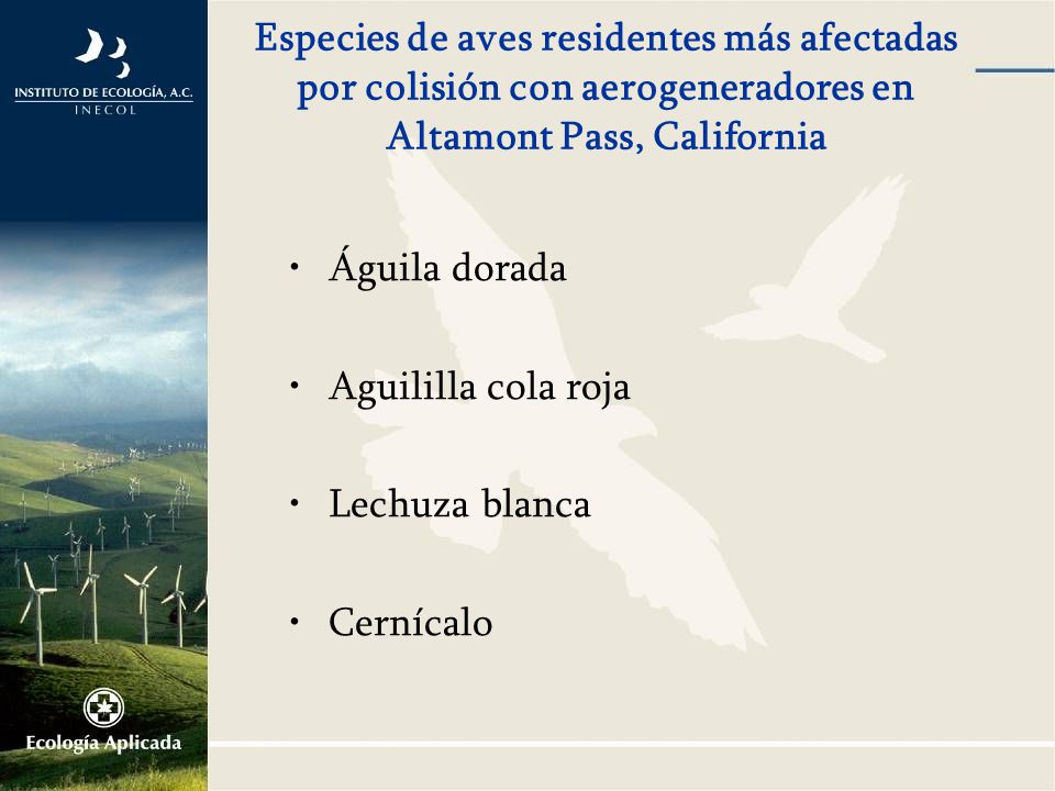 Especies de aves residentes más afectadas por colisión con aerogeneradores en Altamont Pass, California