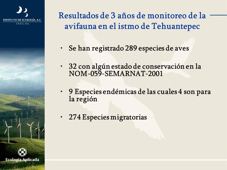 Resultados de 3 años de monitoreo de la avifauna en el istmo de Tehuantepec