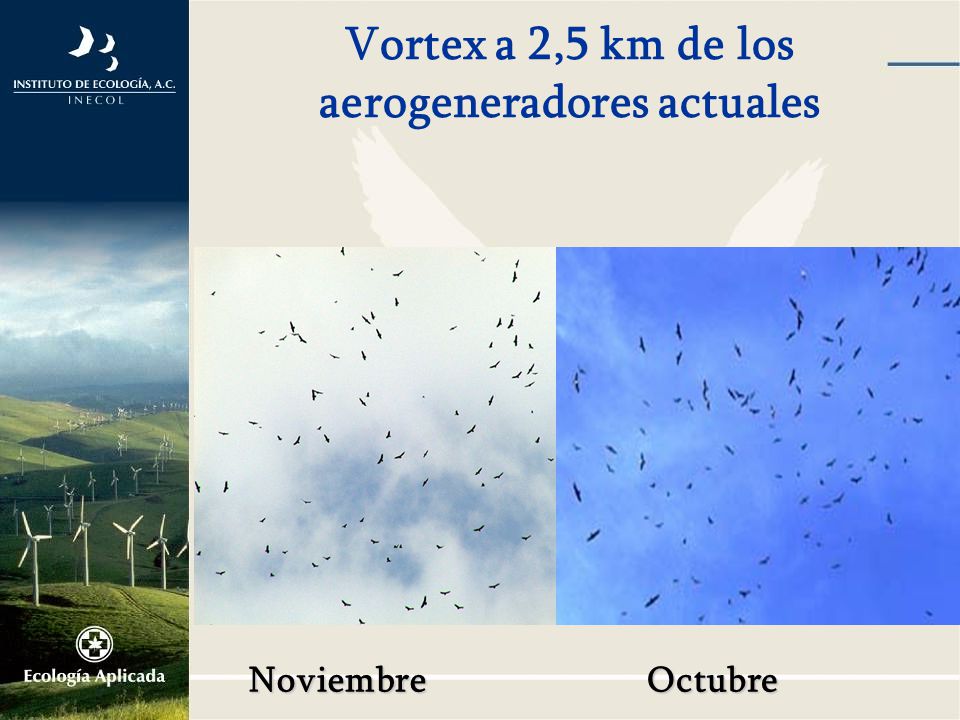 Vortex a 2,5 km de los aerogeneradores actuales
