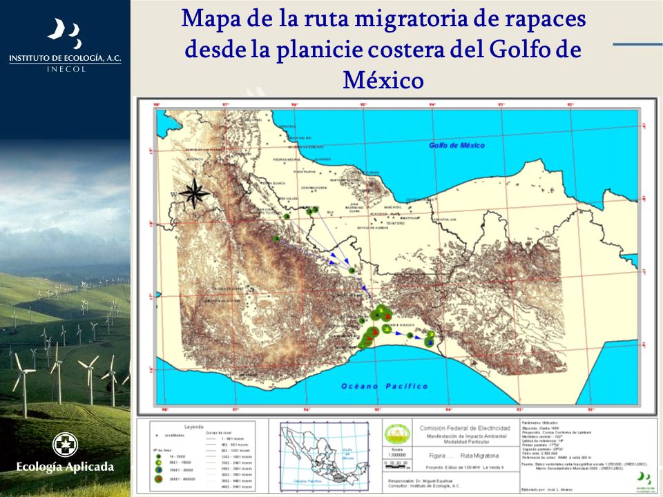 Mapa de la ruta migratoria de rapaces desde la planicie costera del Golfo de México