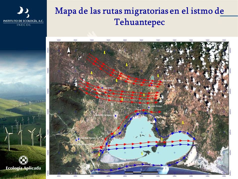 Mapa de las rutas migratorias en el istmo de Tehuantepec