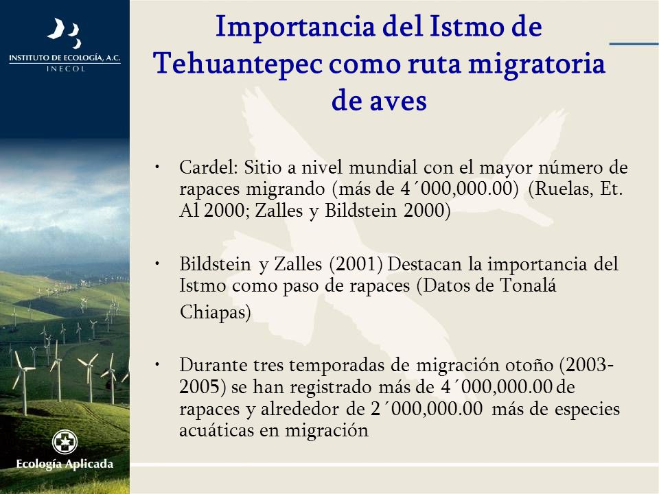 Importancia del Istmo de Tehuantepec como ruta migratoria de aves