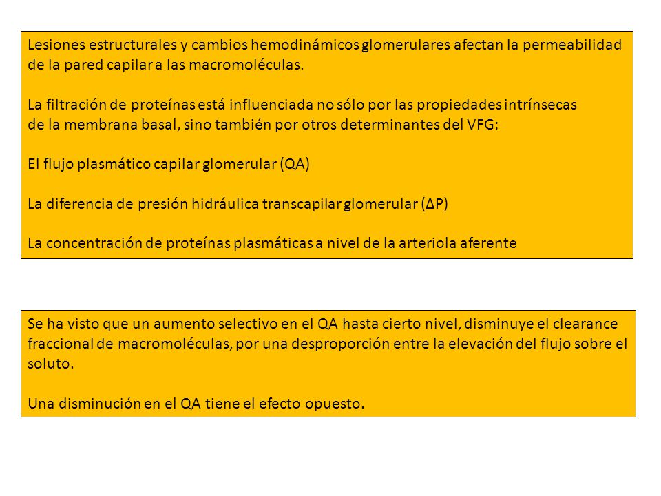 Lesiones estructurales y cambios hemodinámicos glomerulares afectan la permeabilidad de la pared capilar a las macromoléculas.