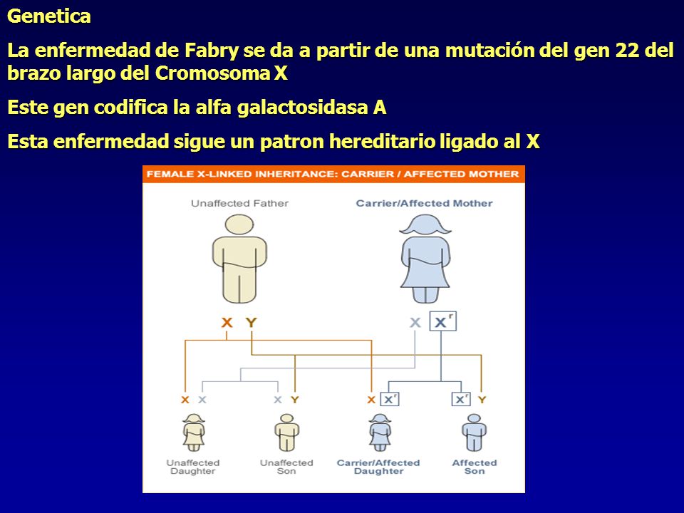 Genetica La enfermedad de Fabry se da a partir de una mutación del gen 22 del brazo largo del Cromosoma X.