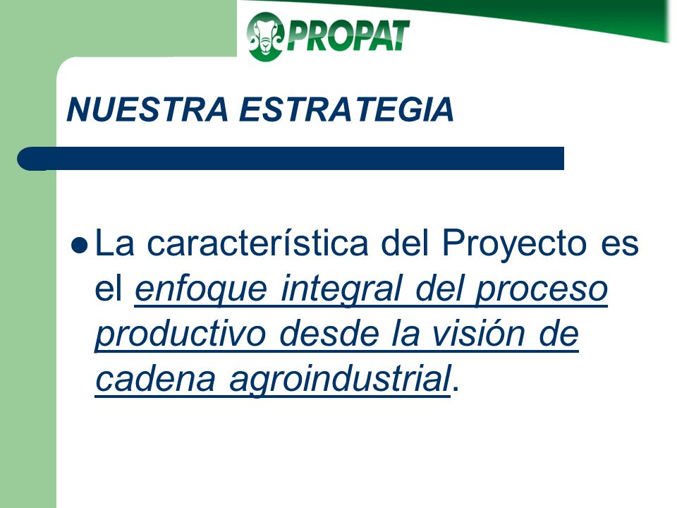 NUESTRA ESTRATEGIA La característica del Proyecto es el enfoque integral del proceso productivo desde la visión de cadena agroindustrial.