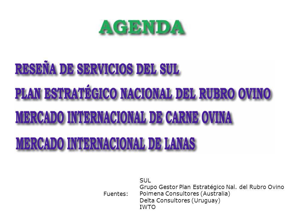 SUL Grupo Gestor Plan Estratégico Nal. del Rubro Ovino. Poimena Consultores (Australia) Delta Consultores (Uruguay)