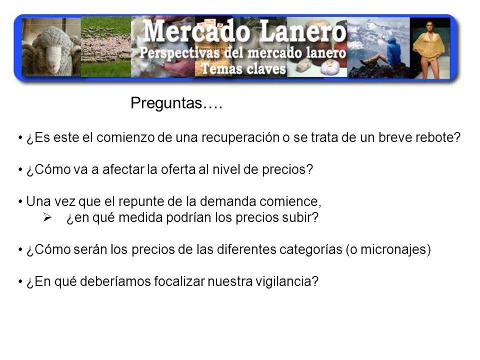 Preguntas…. ¿Es este el comienzo de una recuperación o se trata de un breve rebote ¿Cómo va a afectar la oferta al nivel de precios