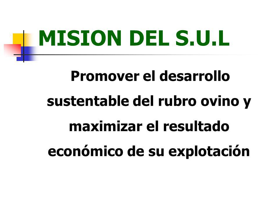 MISION DEL S.U.L Promover el desarrollo sustentable del rubro ovino y maximizar el resultado económico de su explotación.