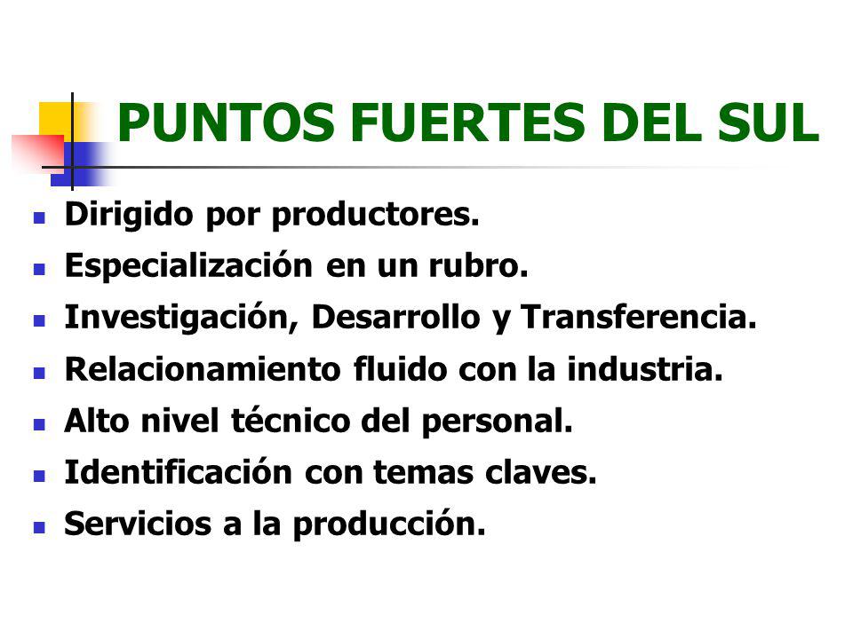 PUNTOS FUERTES DEL SUL Dirigido por productores.