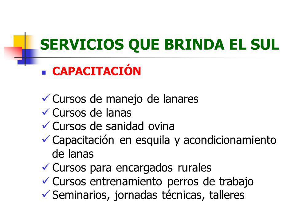 SERVICIOS QUE BRINDA EL SUL