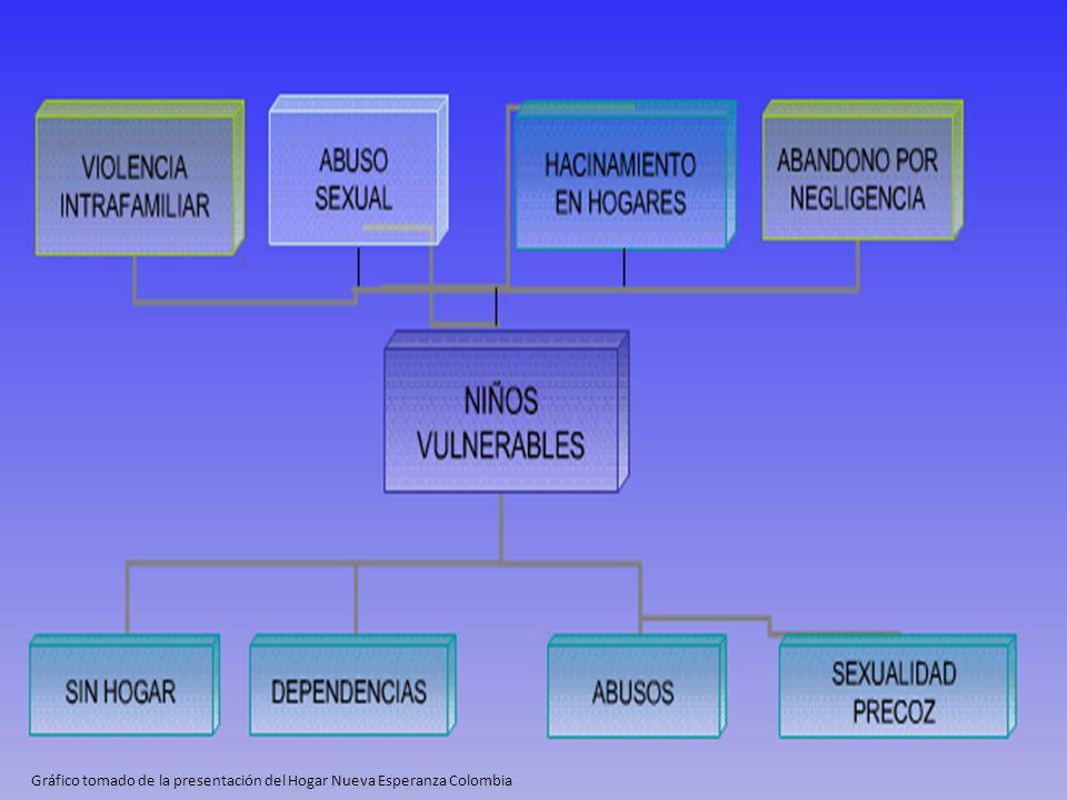 Gráfico tomado de la presentación del Hogar Nueva Esperanza Colombia