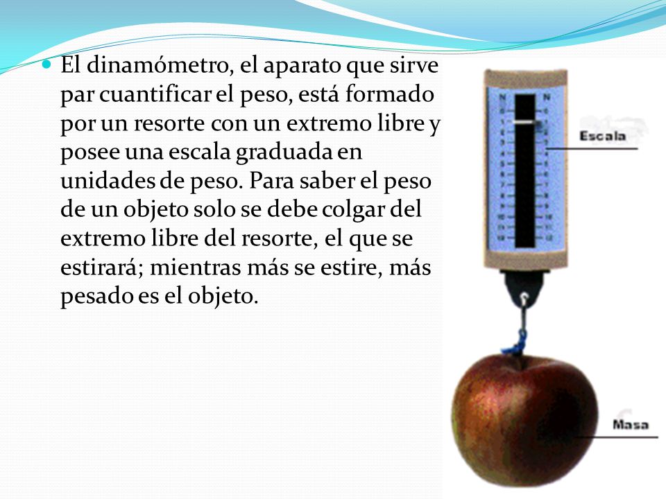 El dinamómetro, el aparato que sirve par cuantificar el peso, está formado por un resorte con un extremo libre y posee una escala graduada en unidades de peso.