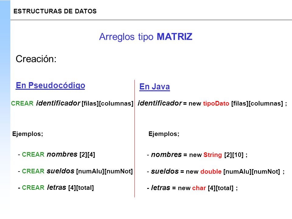 Arreglos tipo MATRIZ Creación: En Pseudocódigo En Java