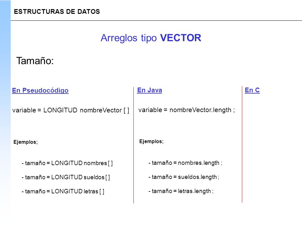 Arreglos tipo VECTOR Tamaño: ESTRUCTURAS DE DATOS En Pseudocódigo