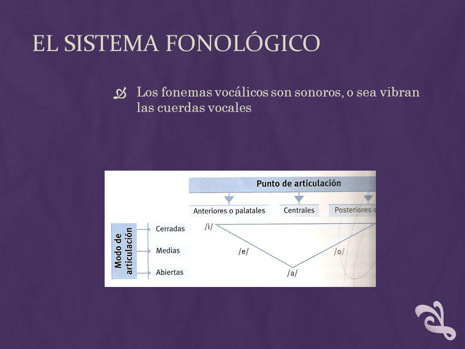 EL SISTEMA FONOLÓGICO Los fonemas vocálicos son sonoros, o sea vibran las cuerdas vocales