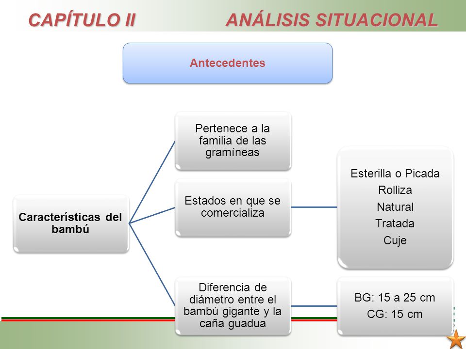 CAPÍTULO II ANÁLISIS SITUACIONAL