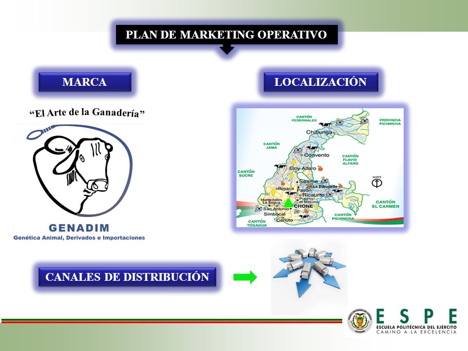 PLAN DE MARKETING OPERATIVO MARCA LOCALIZACIÓN CANALES DE DISTRIBUCIÓN