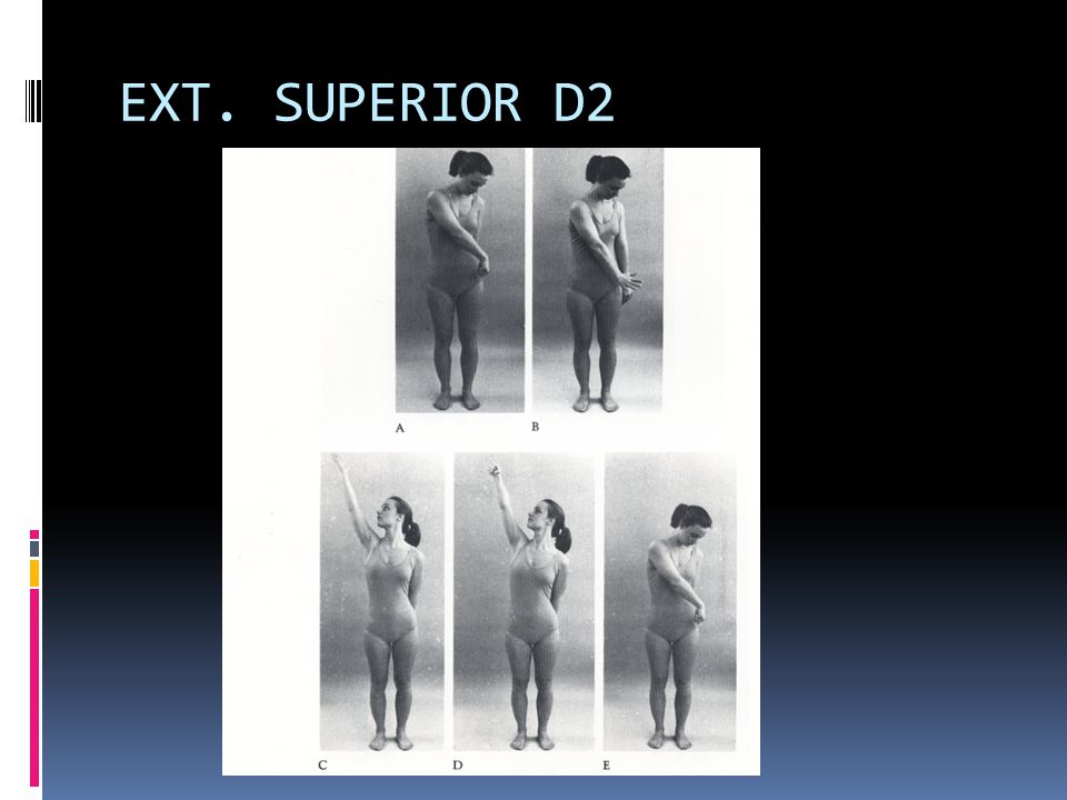 EXT. SUPERIOR D2