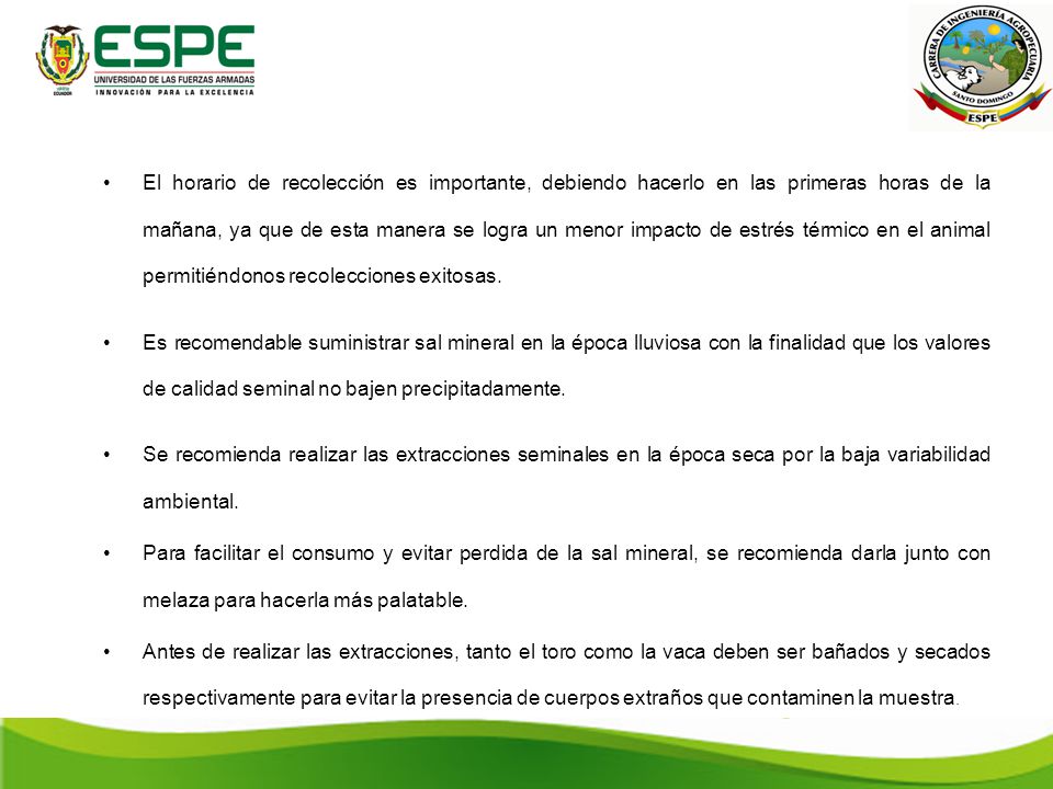 El horario de recolección es importante, debiendo hacerlo en las primeras horas de la mañana, ya que de esta manera se logra un menor impacto de estrés térmico en el animal permitiéndonos recolecciones exitosas.