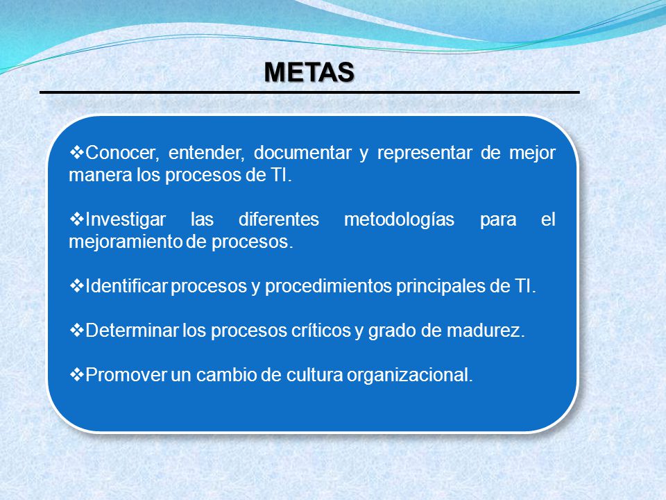 METAS Conocer, entender, documentar y representar de mejor manera los procesos de TI.