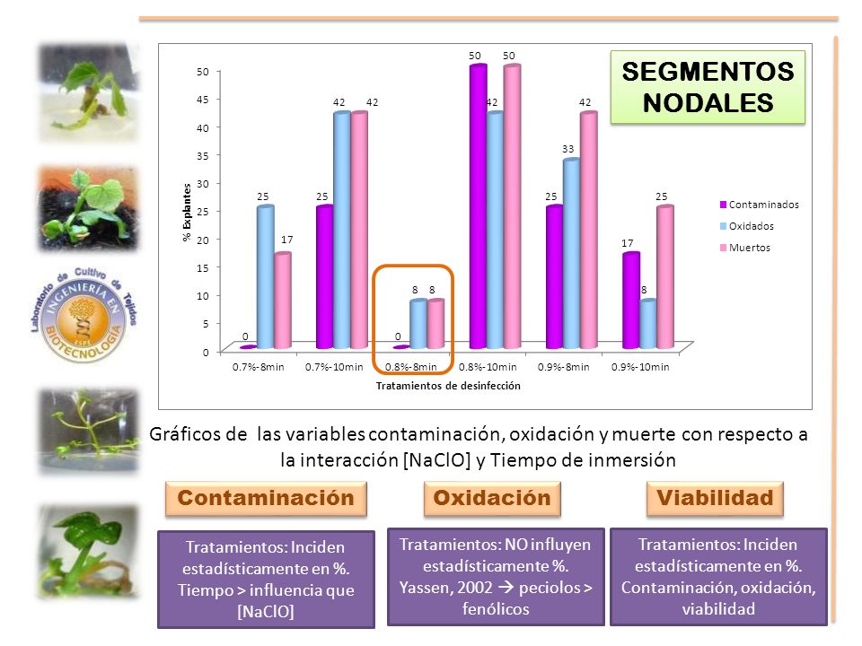 SEGMENTOS NODALES Gráficos de las variables contaminación, oxidación y muerte con respecto a la interacción [NaClO] y Tiempo de inmersión.