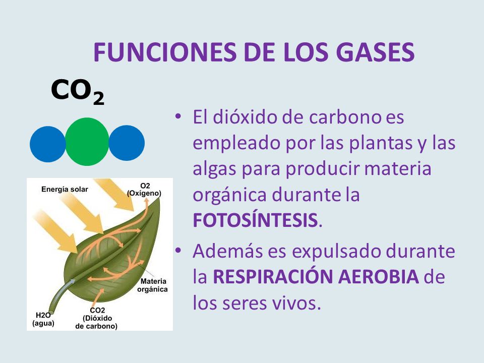 FUNCIONES DE LOS GASES CO2