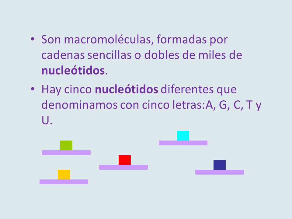 Son macromoléculas, formadas por cadenas sencillas o dobles de miles de nucleótidos.