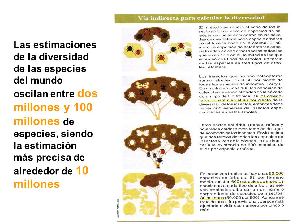 Las estimaciones de la diversidad de las especies del mundo oscilan entre dos millones y 100 millones de especies, siendo la estimación más precisa de alrededor de 10 millones