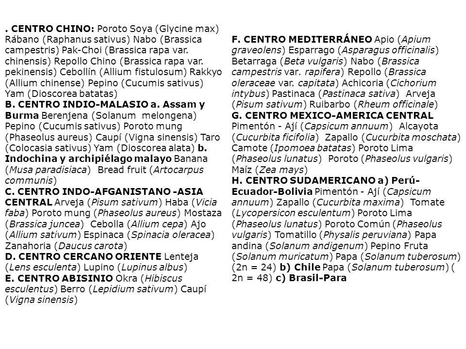 . CENTRO CHINO: Poroto Soya (Glycine max) Rábano (Raphanus sativus) Nabo (Brassica campestris) Pak-Choi (Brassica rapa var. chinensis) Repollo Chino (Brassica rapa var. pekinensis) Cebollín (Allium fistulosum) Rakkyo (Allium chinense) Pepino (Cucumis sativus) Yam (Dioscorea batatas)