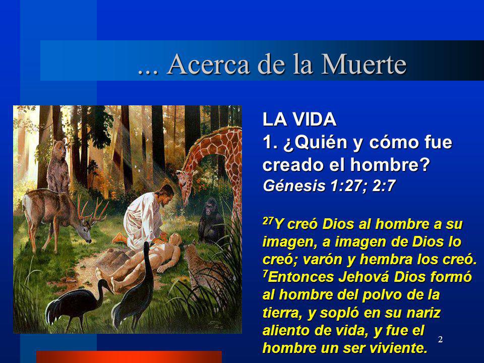 ... Acerca de la Muerte LA VIDA 1. ¿Quién y cómo fue creado el hombre