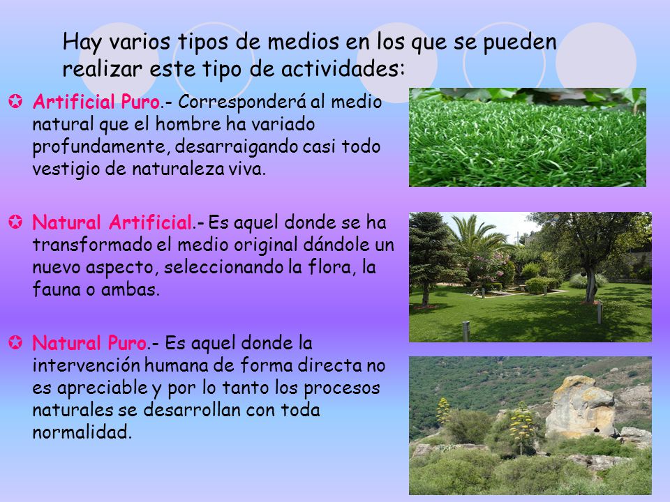 Hay varios tipos de medios en los que se pueden realizar este tipo de actividades: