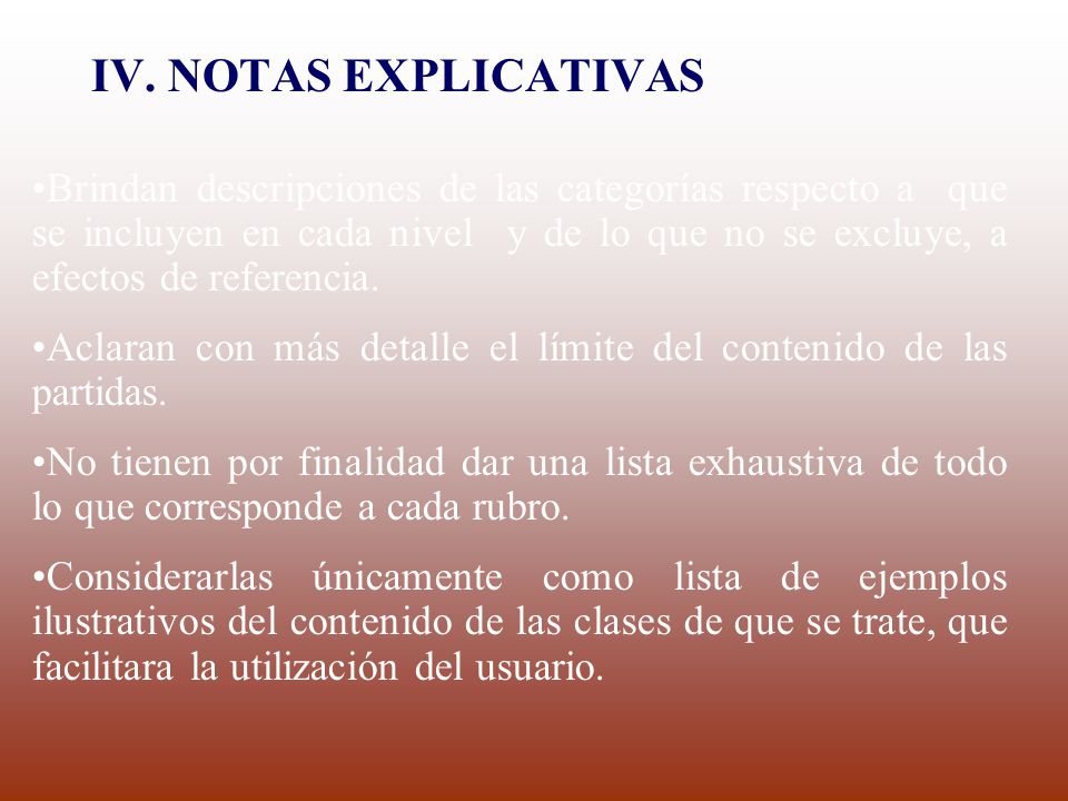 IV. NOTAS EXPLICATIVAS
