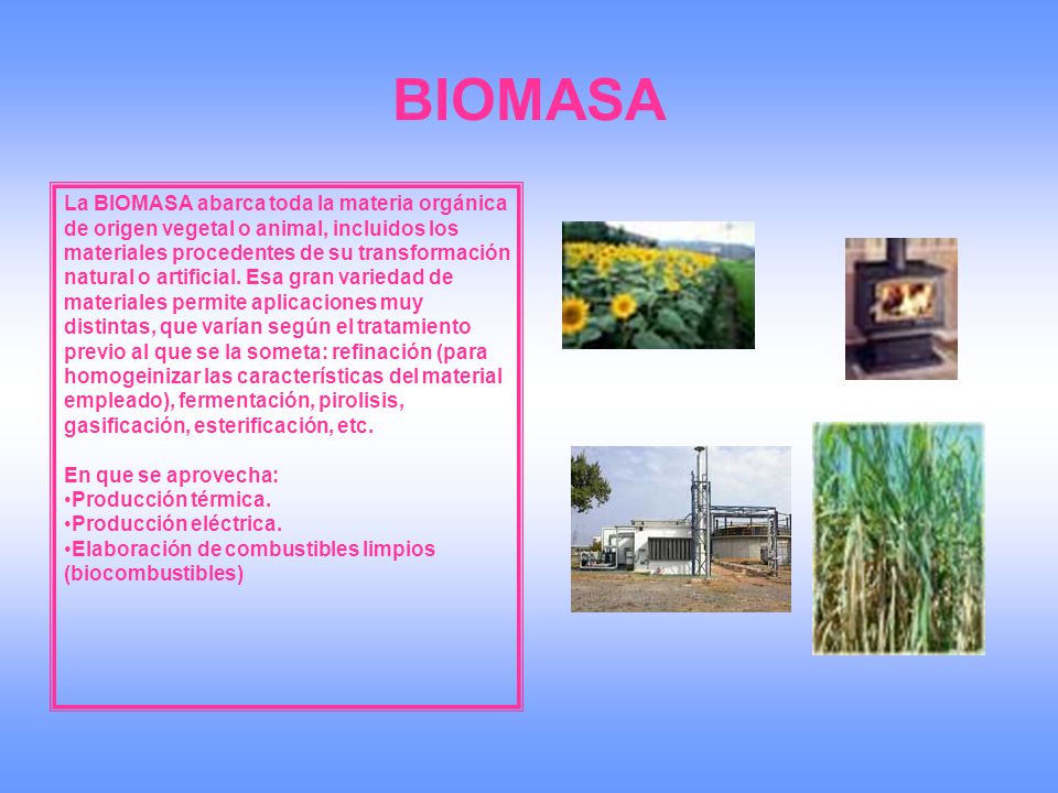BIOMASA