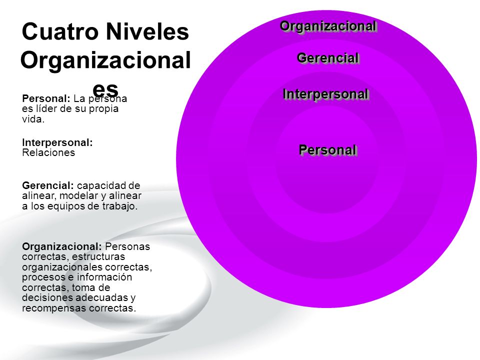 Cuatro Niveles Organizacionales