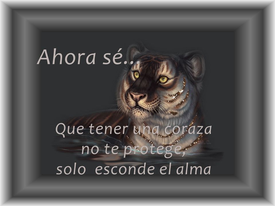 Ahora sé... Que tener una coraza no te protege, solo esconde el alma
