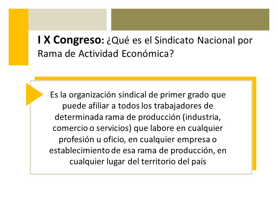 I X Congreso: ¿Qué es el Sindicato Nacional por Rama de Actividad Económica
