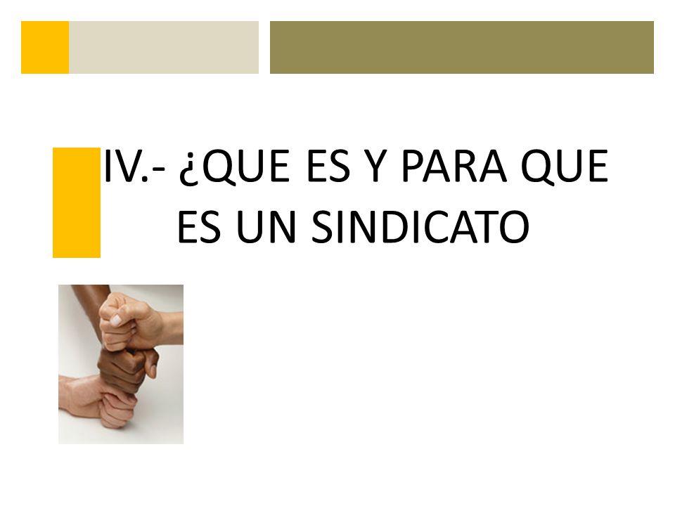 IV.- ¿QUE ES Y PARA QUE ES UN SINDICATO