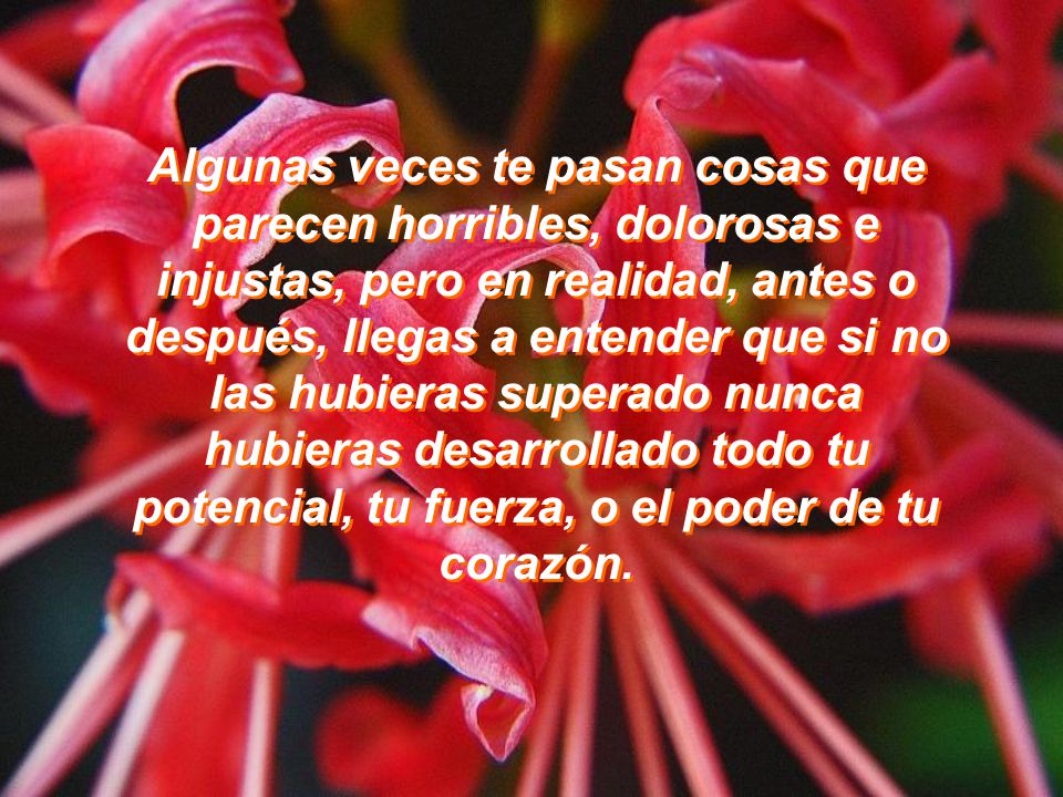 Algunas veces te pasan cosas que parecen horribles, dolorosas e injustas, pero en realidad, antes o después, llegas a entender que si no las hubieras superado nunca hubieras desarrollado todo tu potencial, tu fuerza, o el poder de tu corazón.