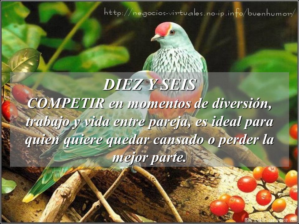 DIEZ Y SEIS COMPETIR en momentos de diversión, trabajo y vida entre pareja, es ideal para quien quiere quedar cansado o perder la mejor parte.