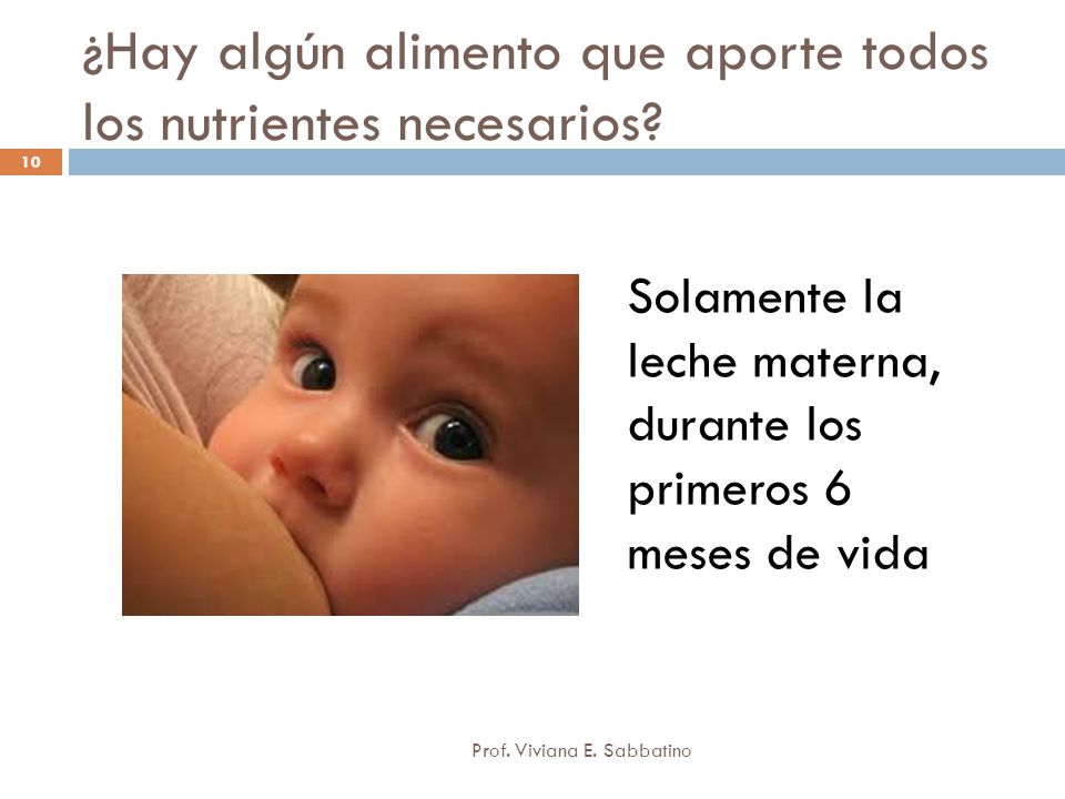 ¿Hay algún alimento que aporte todos los nutrientes necesarios