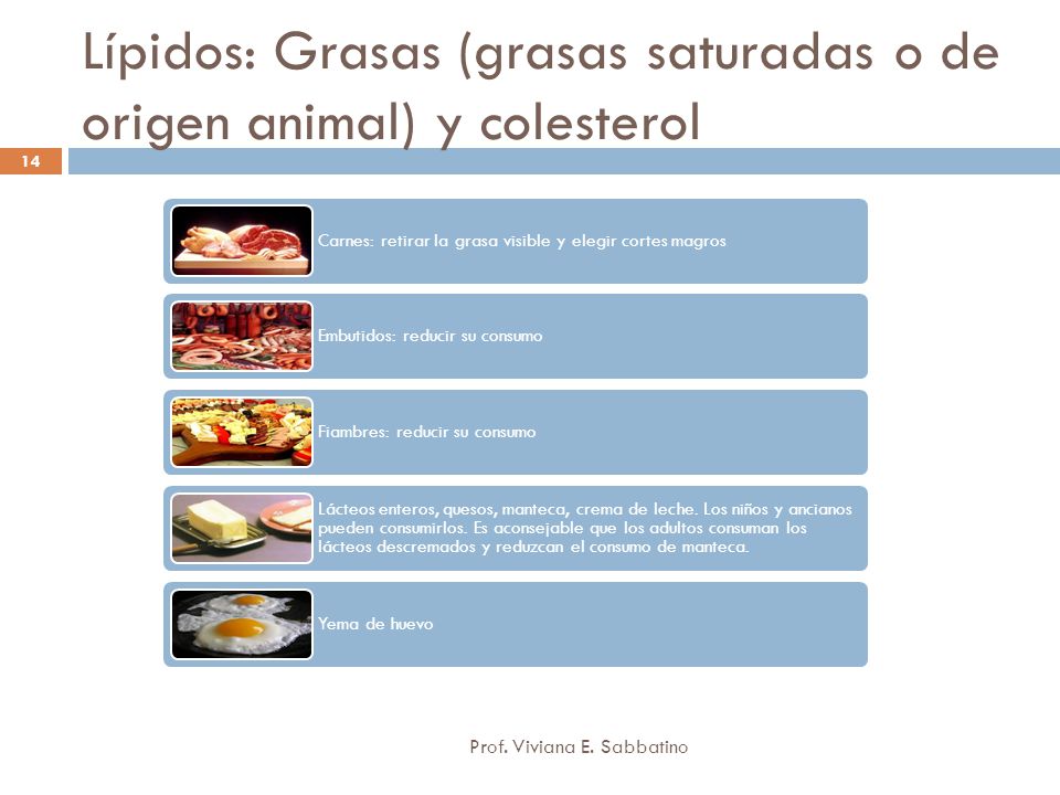 Lípidos: Grasas (grasas saturadas o de origen animal) y colesterol