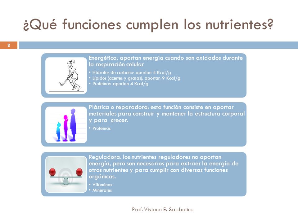 ¿Qué funciones cumplen los nutrientes