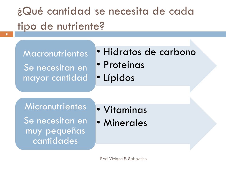 ¿Qué cantidad se necesita de cada tipo de nutriente