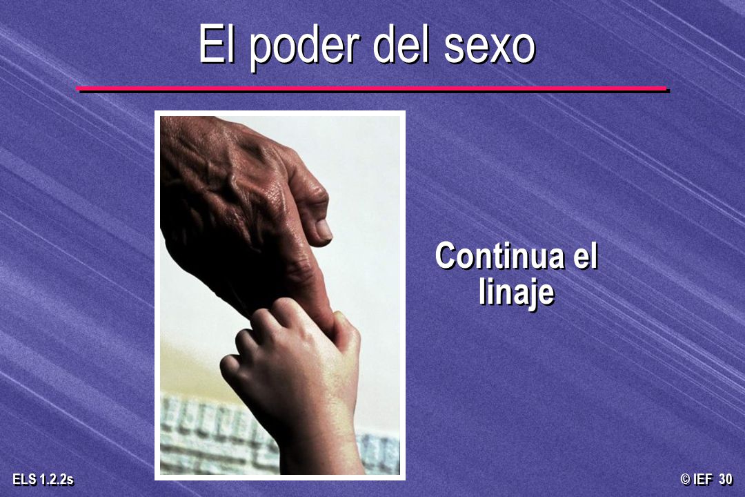 El poder del sexo Continua el linaje S-46Can continue a lineage