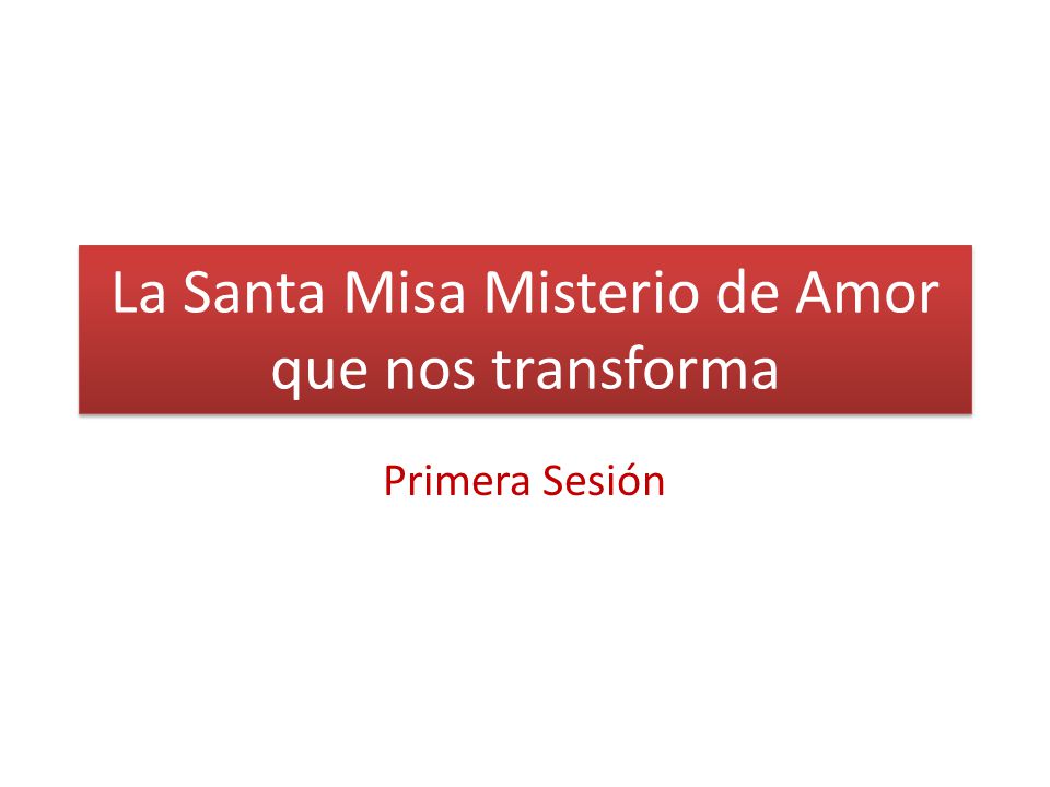 La Santa Misa Misterio de Amor que nos transforma