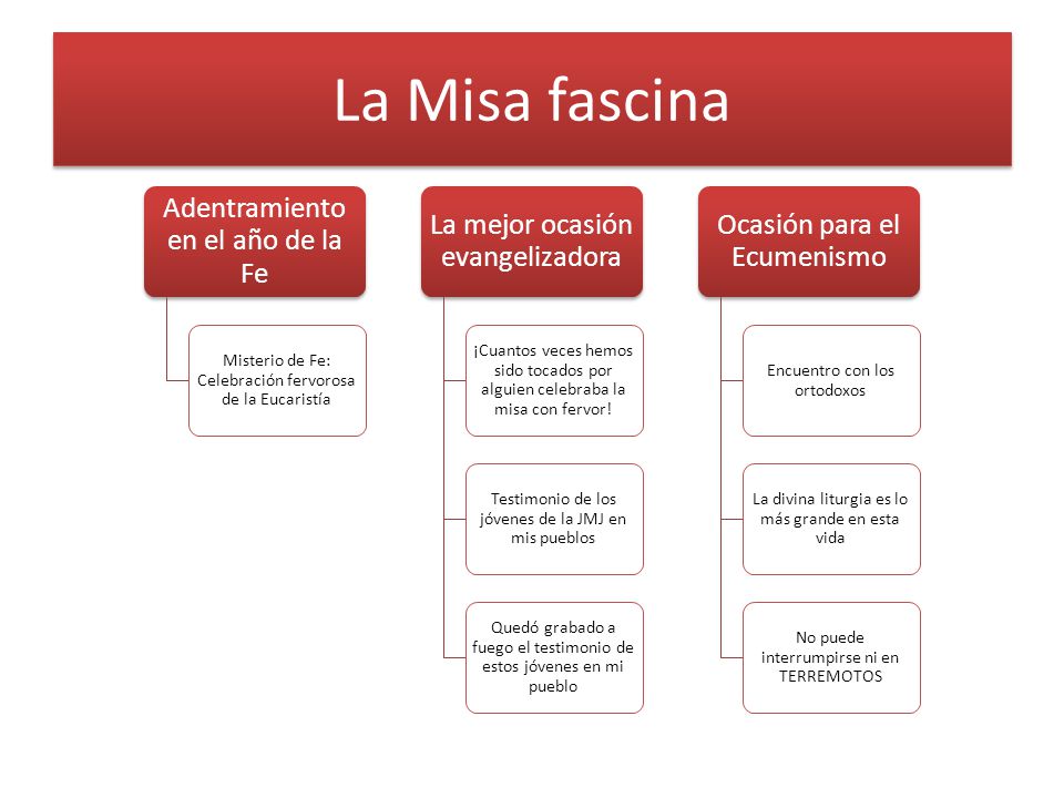 La Misa fascina Adentramiento en el año de la Fe