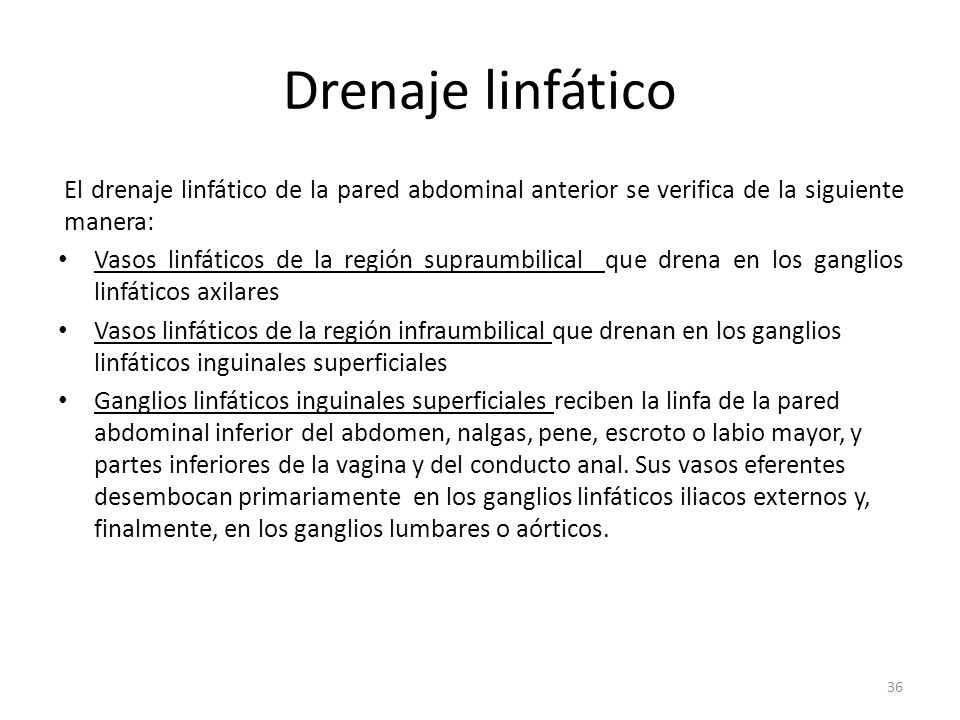 Drenaje linfático El drenaje linfático de la pared abdominal anterior se verifica de la siguiente manera: